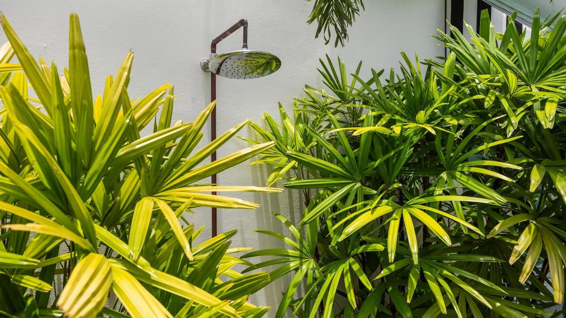 The Weekender By Otium Hotel San Juan