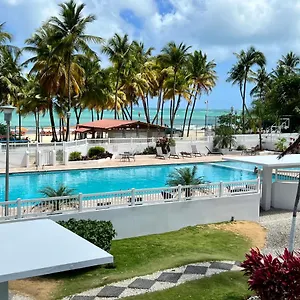 Beachfront Tropical Tantra Apartment